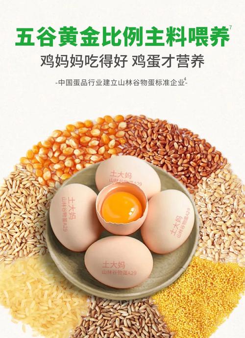 土大妈山林谷物蛋(放养蛋)获农产品大奖